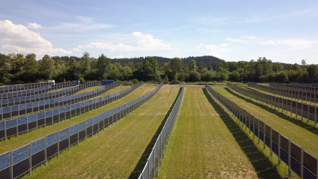 aasen agrivoltaics solar plant with walls of vertical bifacial modules near donaueschingen germany 3