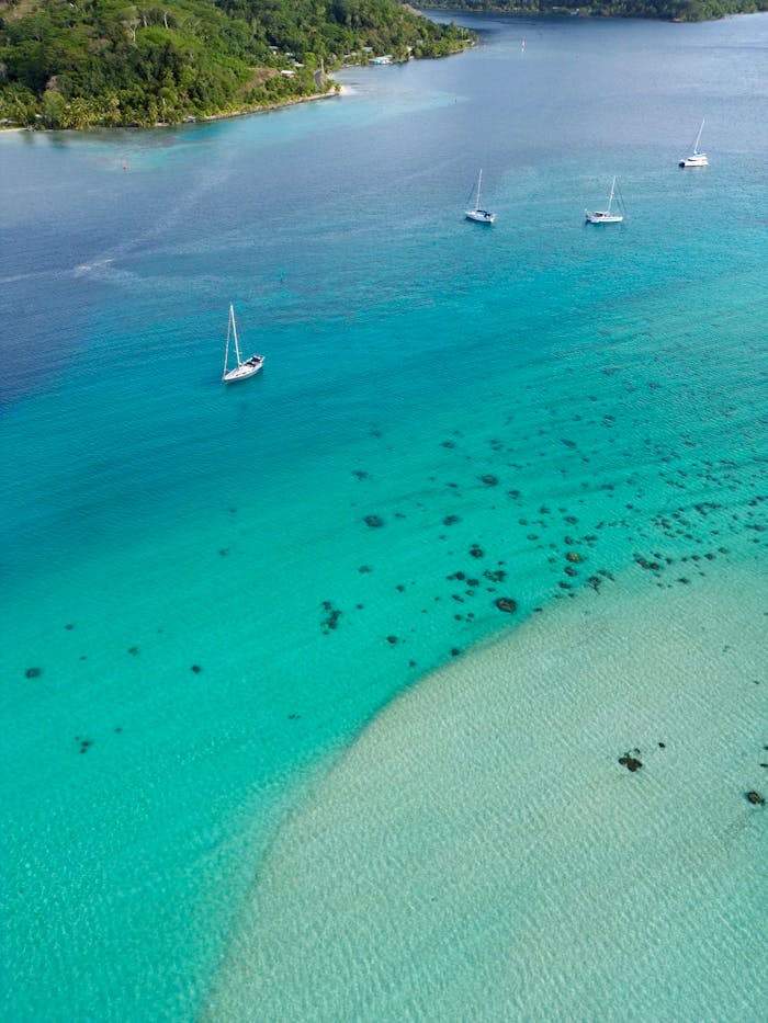 Beautiful aerial shot of sailboats over turquoise tropical waters with lush green coastlines.